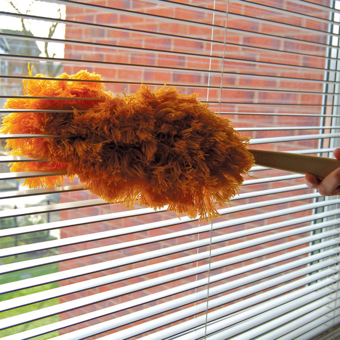 Golden Magnet Dust Maid - Image 2